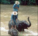 Chiang Mai